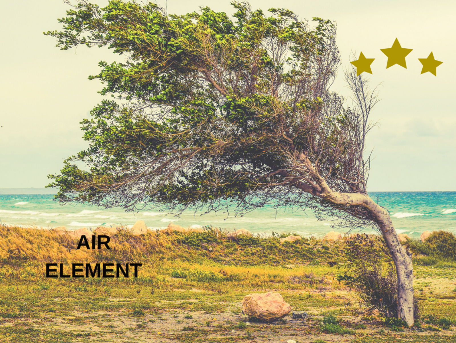 The Elements of Change