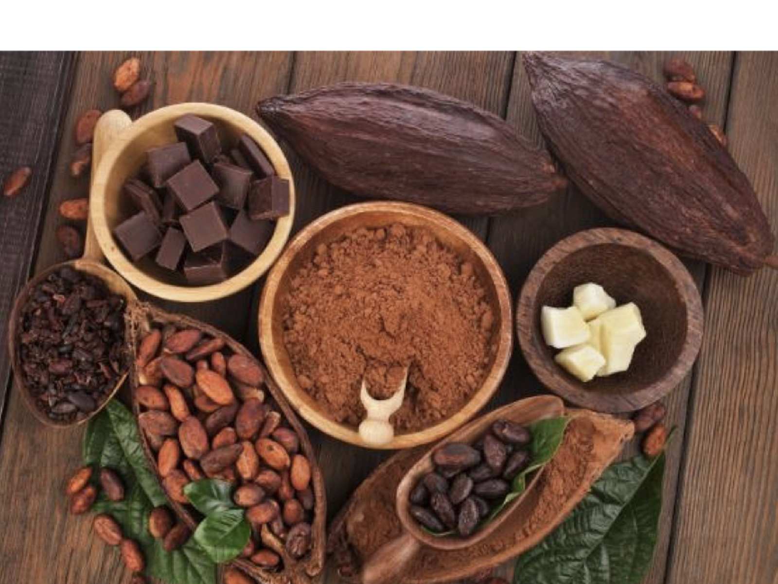 Goddess IXCACAO & The Medicinal Benefits of Cacao