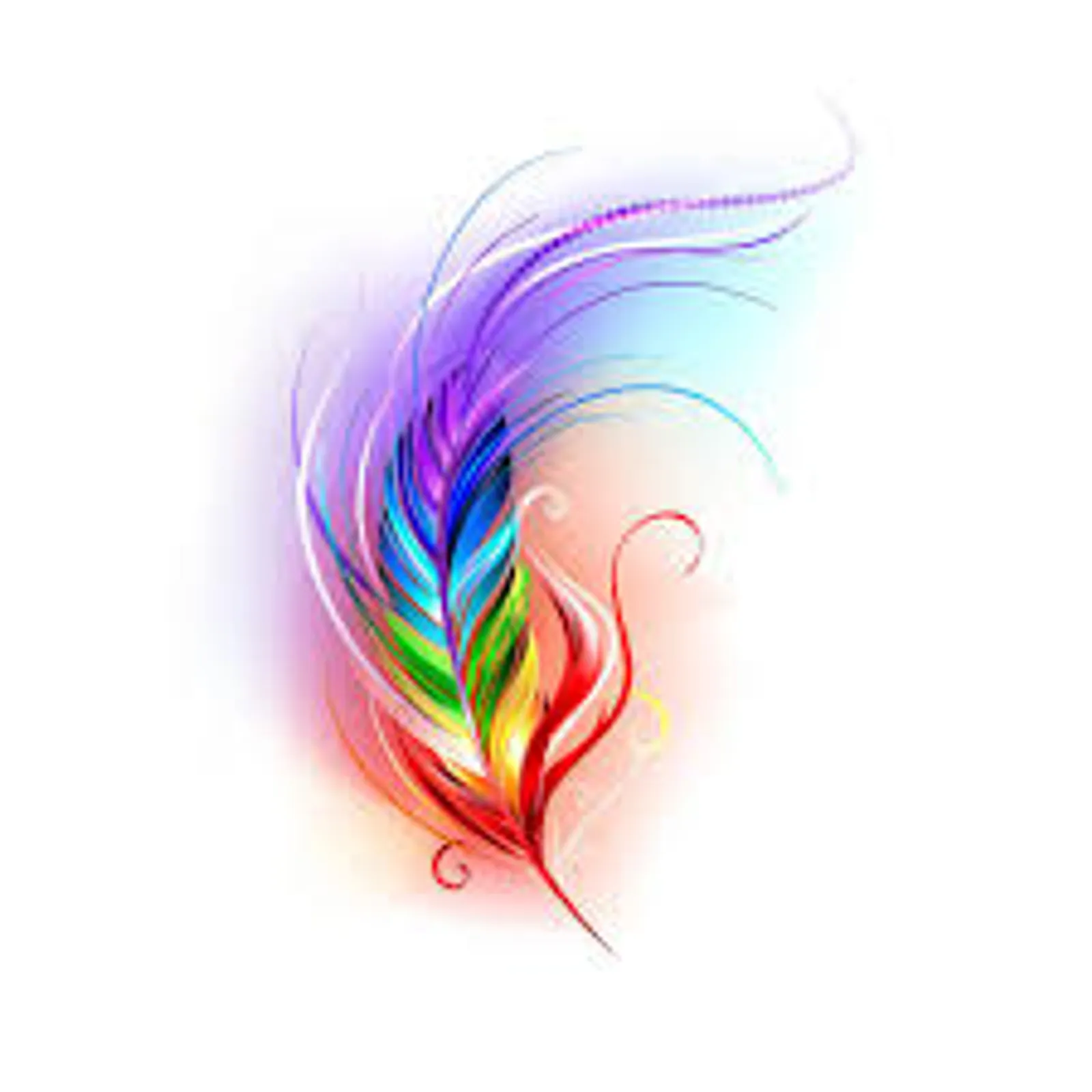 feather.jpeg